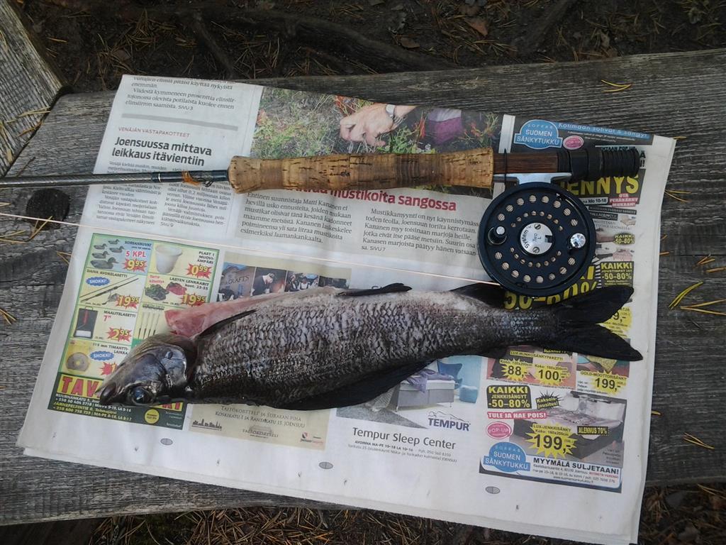 2014-08-14 12.14.12 (Medium)