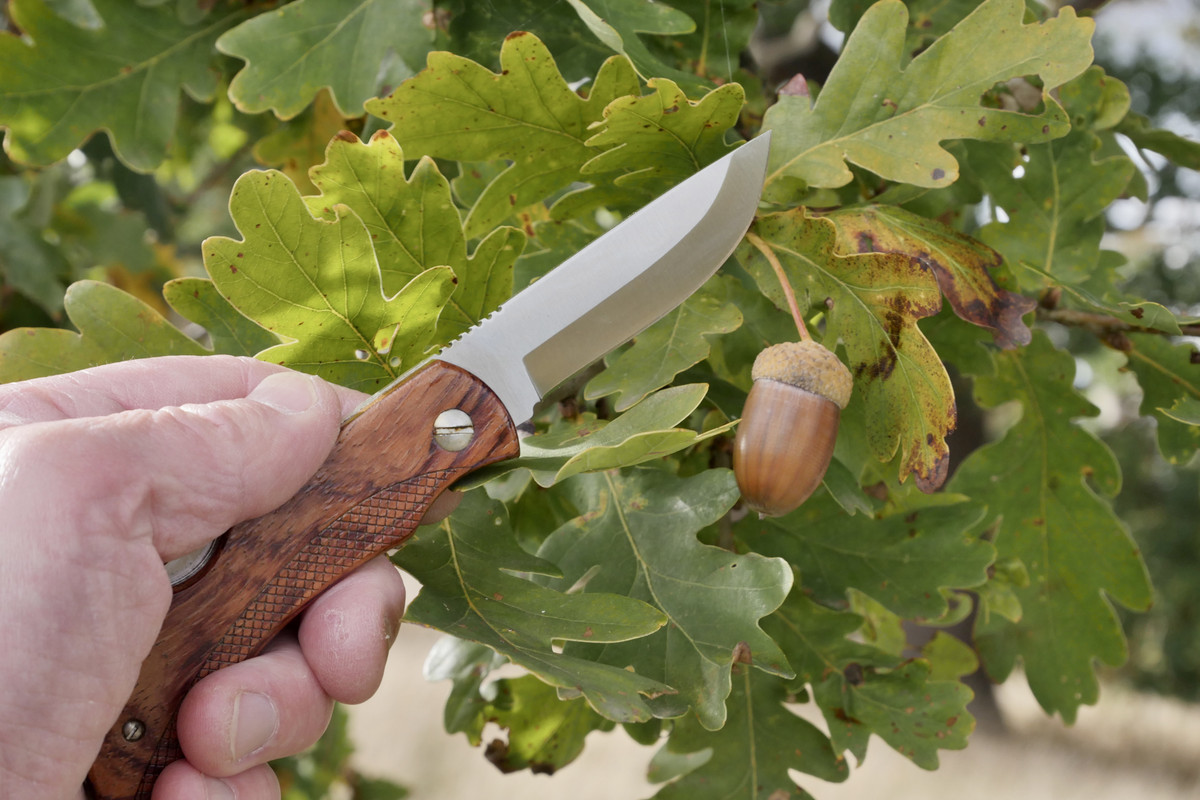 07386956-0993-4657-A826-4A45D14C57DF