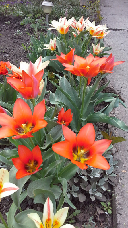 20180421_121449
