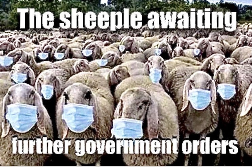 61092B3B-13D0-4423-84ED-288BCD9D95C5