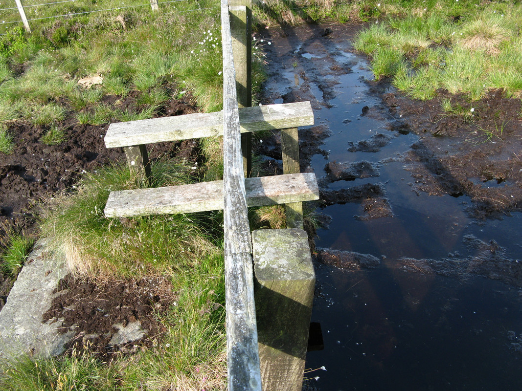 94DEBD66-7817-475F-BDD6-4EA247A5C8F4