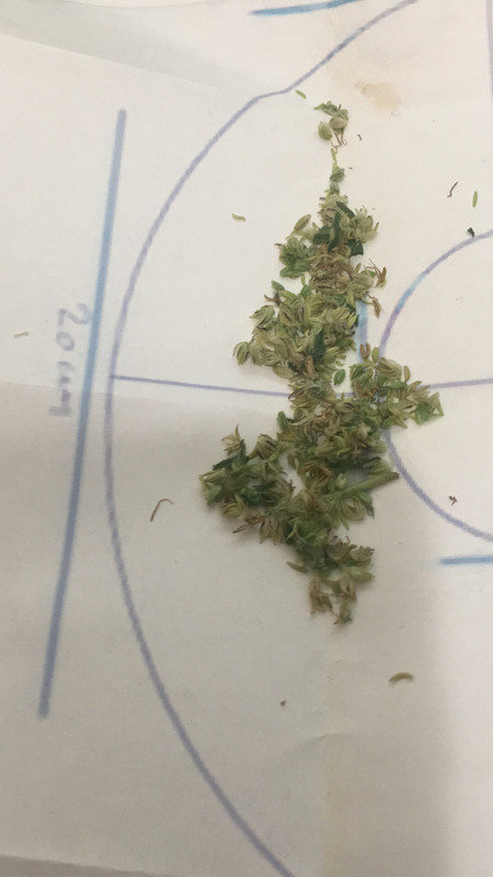 D948CA58-87D4-4BEC-A6DD-65E7B759CB54