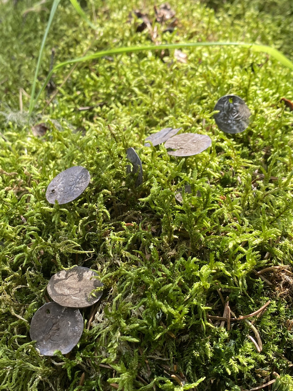 B00C4FB1-8BA9-49D6-B535-C0C787E5E179