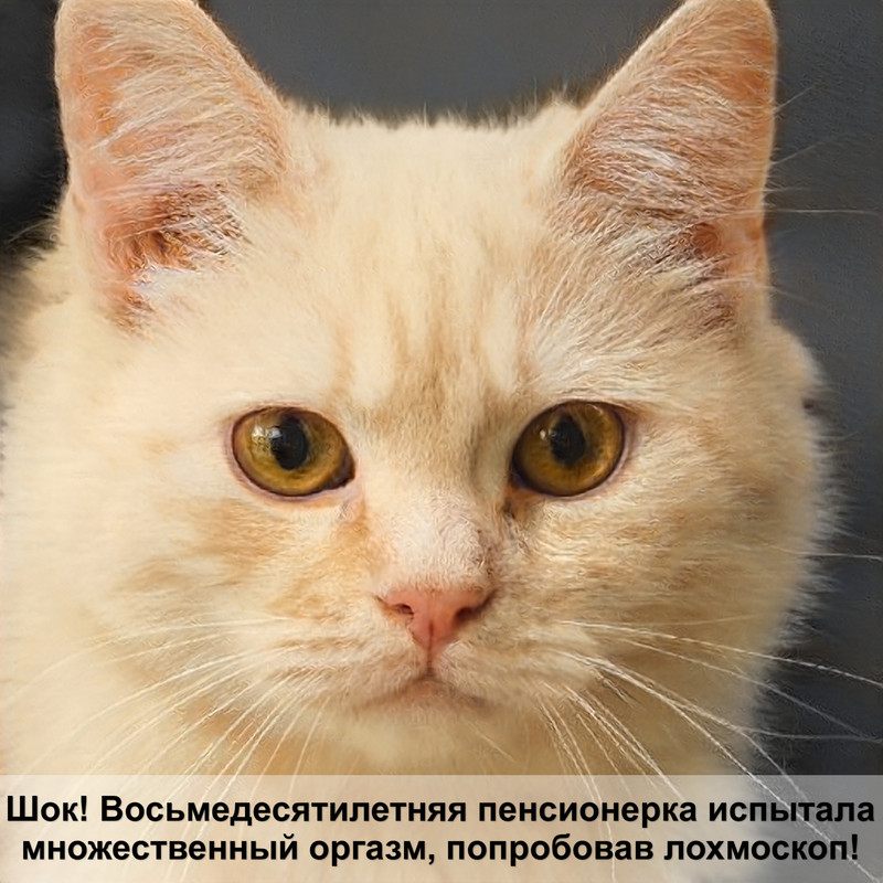 богиня кошка египет