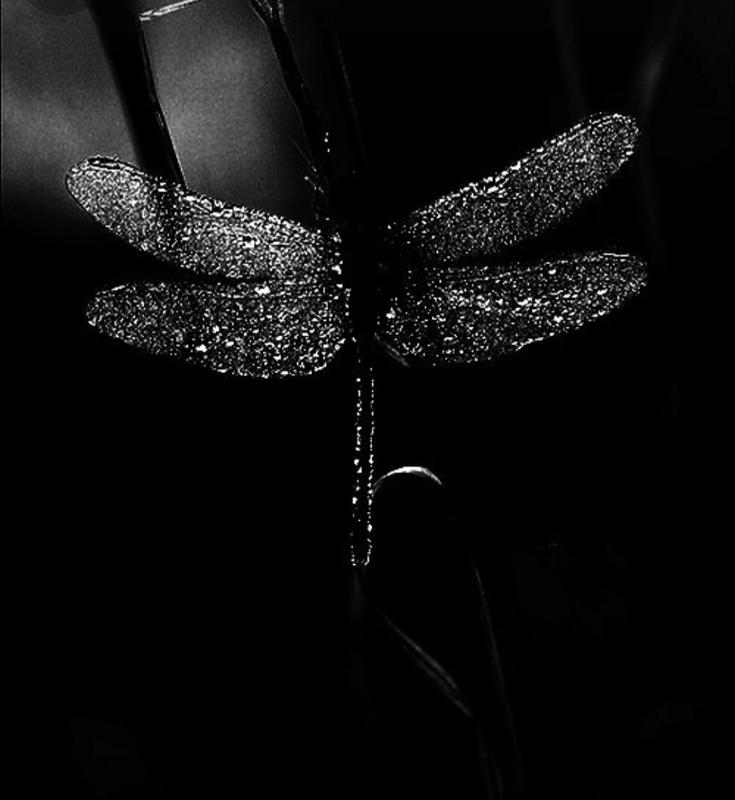 Screenshot_20231209_120747_Pinterest