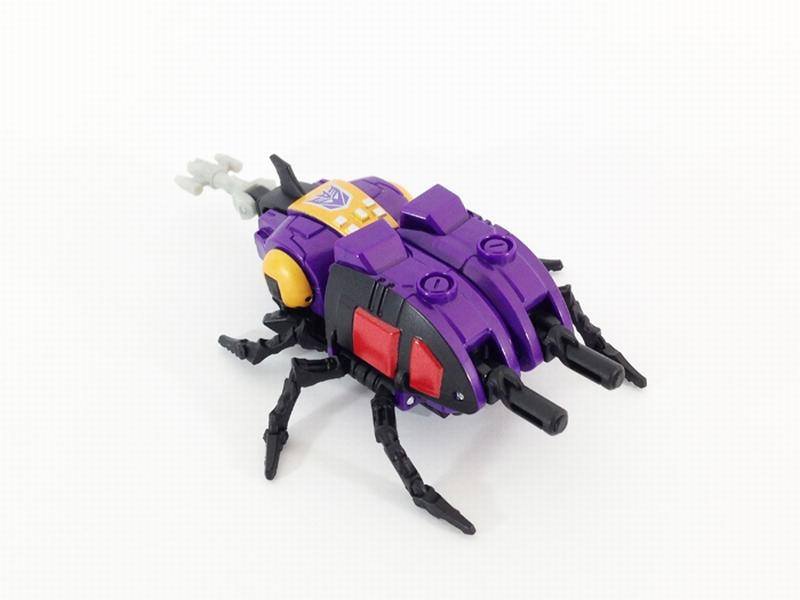 10850267_744970402256038_5154836147098045191_n