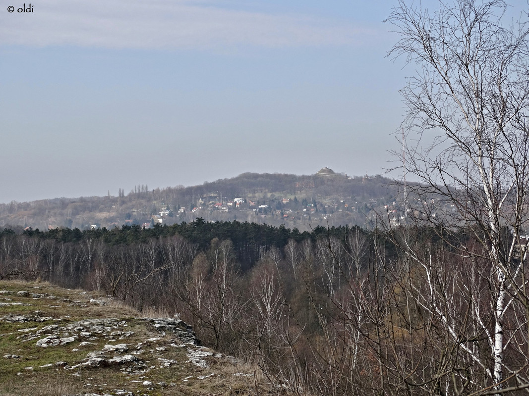 DSC07408