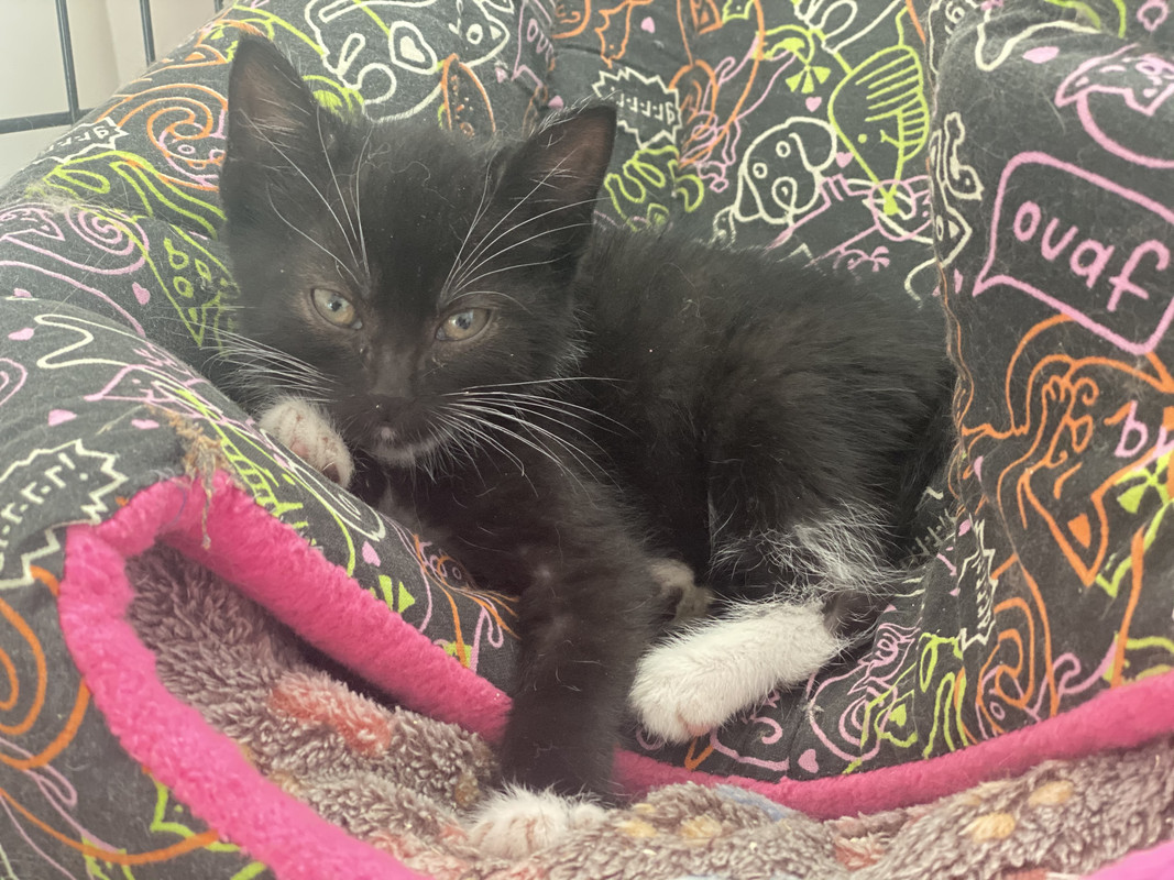 3EC29D87-2DB8-43C9-BB30-B7B2D88D17BA