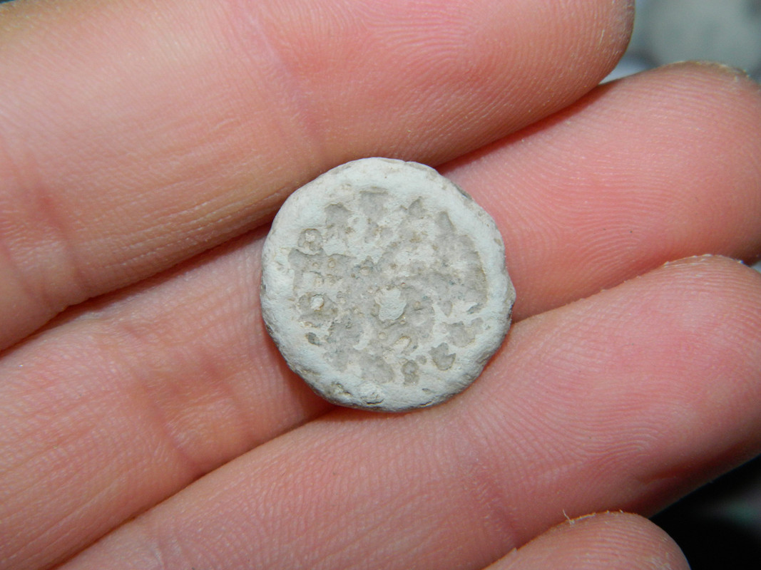 25p16 016
