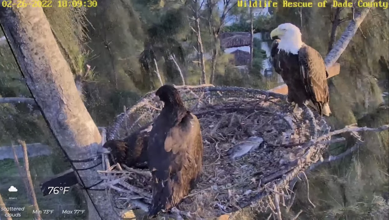 0427DA2E-AAA5-45CF-AE67-A93DF6F257FA