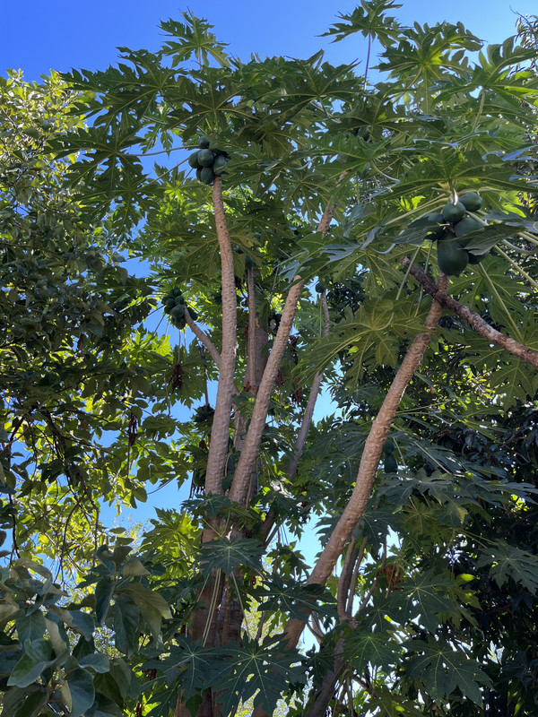 815123A9-AC13-46E1-B4D9-3EB636FF9924