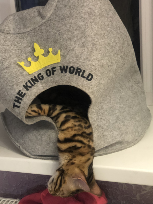 8B2BA6F1-C52C-4B93-81BB-19DF83FBA49E