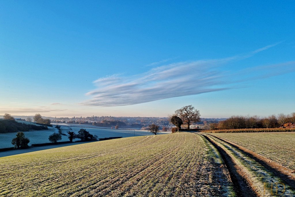 frosty-field-Feb-HD.jpg