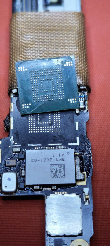 photo 2025 12 25 10 59 00