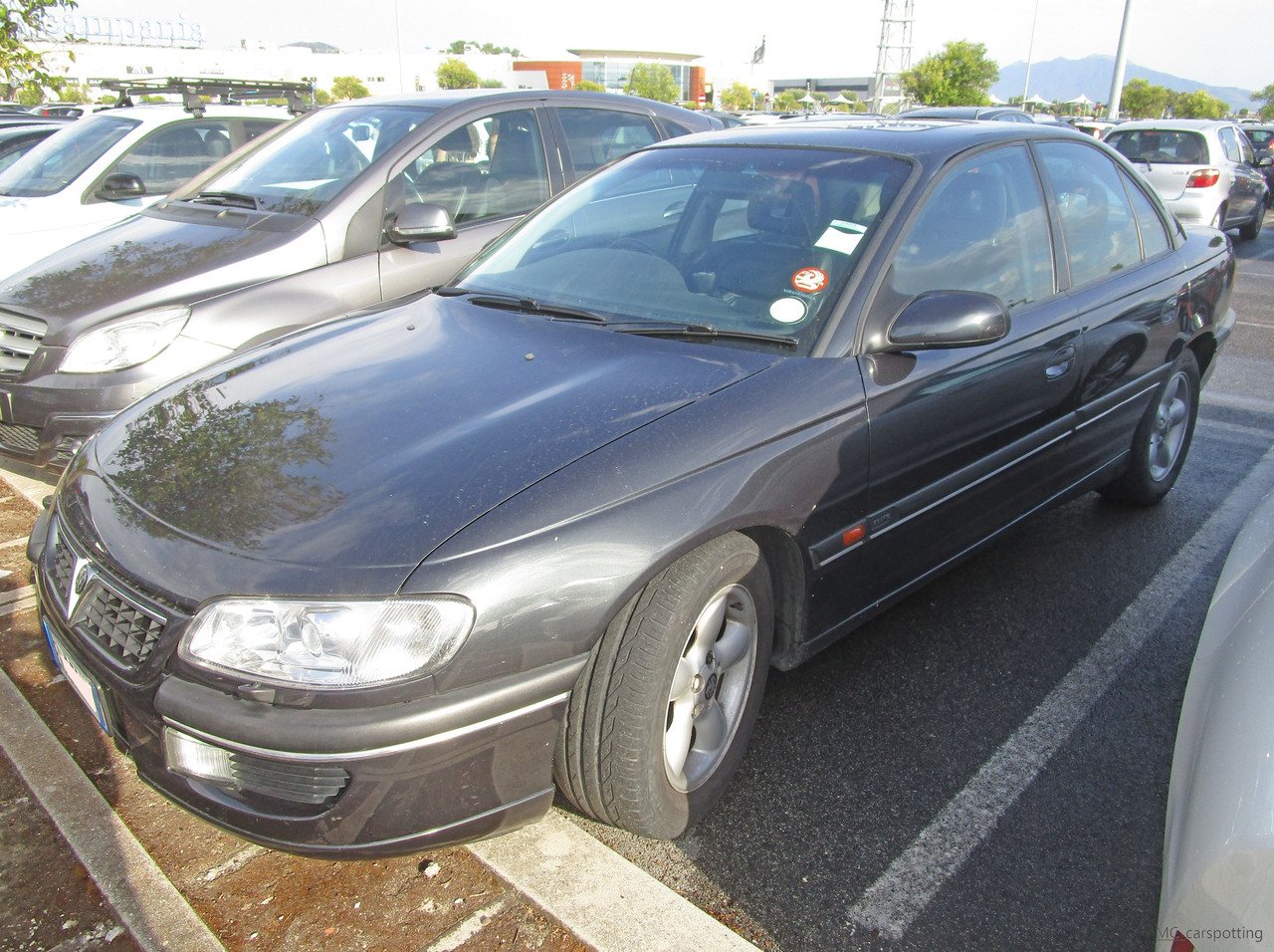 IMG-8650.jpg