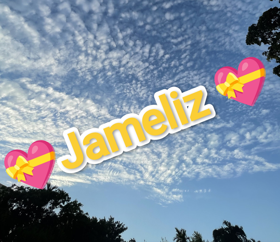 💠💠Jameliz 💠💠