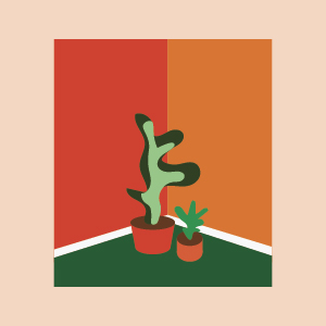playlist cover of a plant in a corner of a room