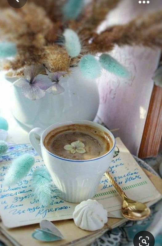 Screenshot_20230928_234540_Pinterest