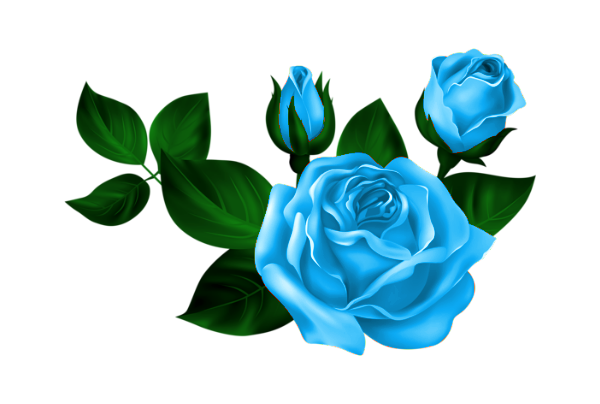 TADD_BlueLove_elements (72)