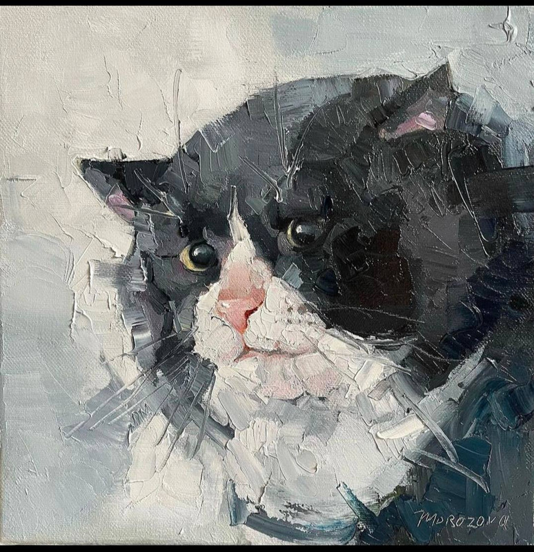 480527927-1538994480098906-4061290248292851541-n