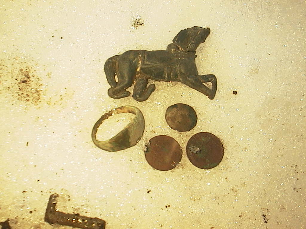 päivänlöydöt15.03.2016 034