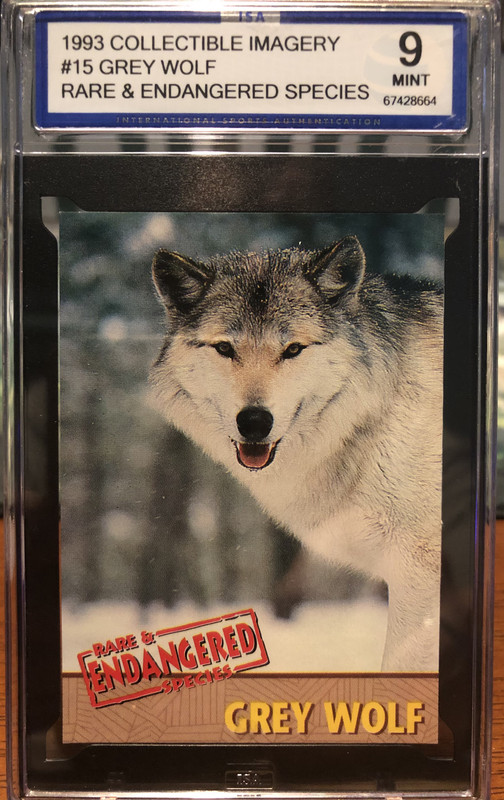 1811856B-F6EC-4854-A359-5520D19152E9