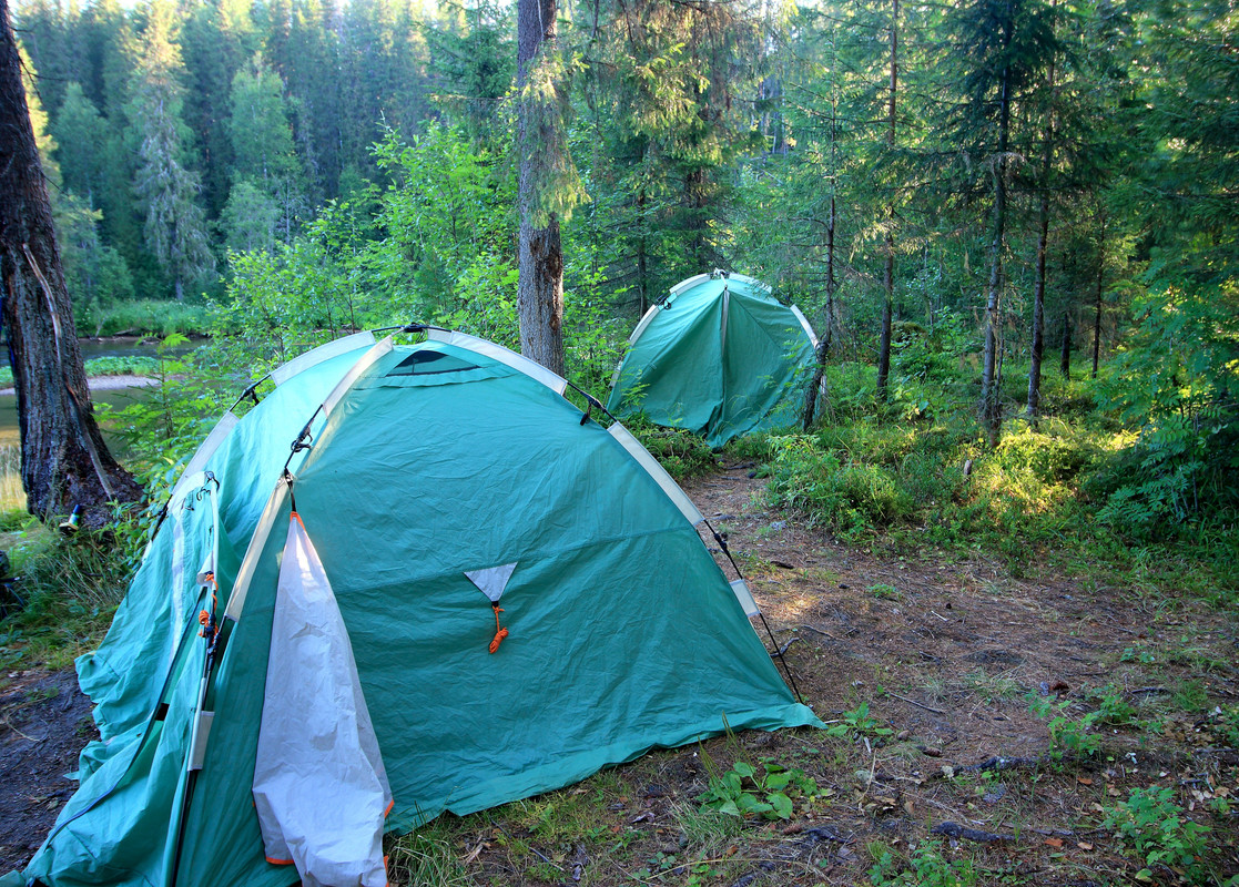 IMG_6055 (9000 x 6448) (6750 x 4836)