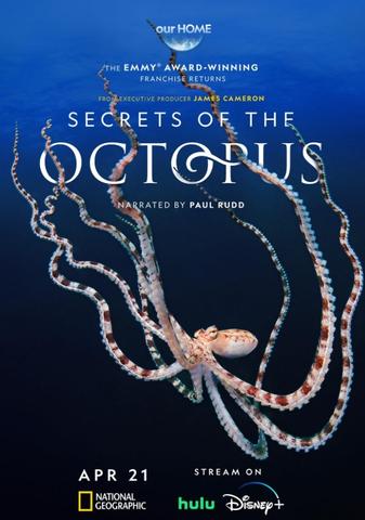 [Kép: Secrets-of-the-Octopus.jpg]