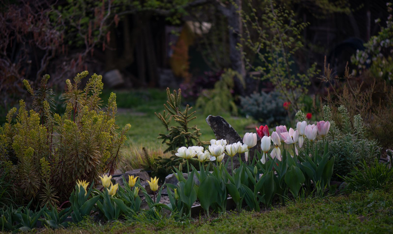 IMG-6da483dbad95dba78dafae373c4dc8d8-V