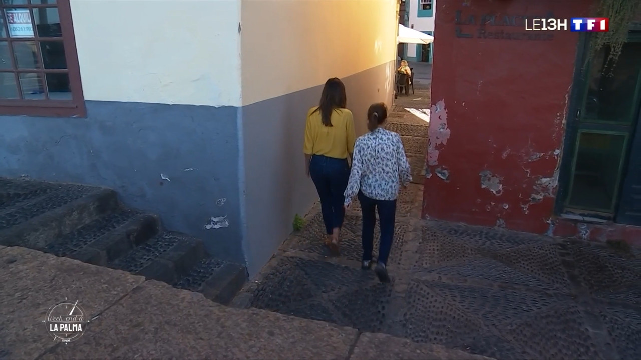 2021-07-10_13_00_TF1_Le-13h.mp4_snapshot_00.23.11.187