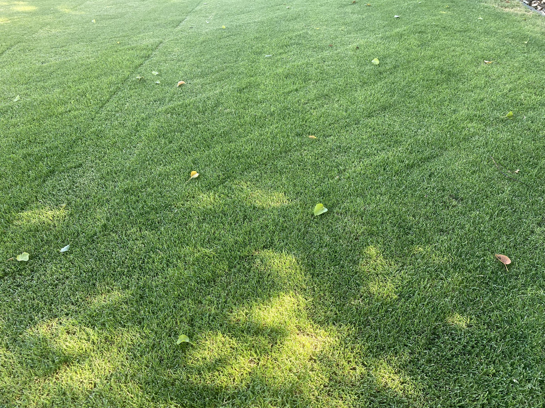 5B8EECB8-92E4-4E6B-A0B4-72B14BDB621D