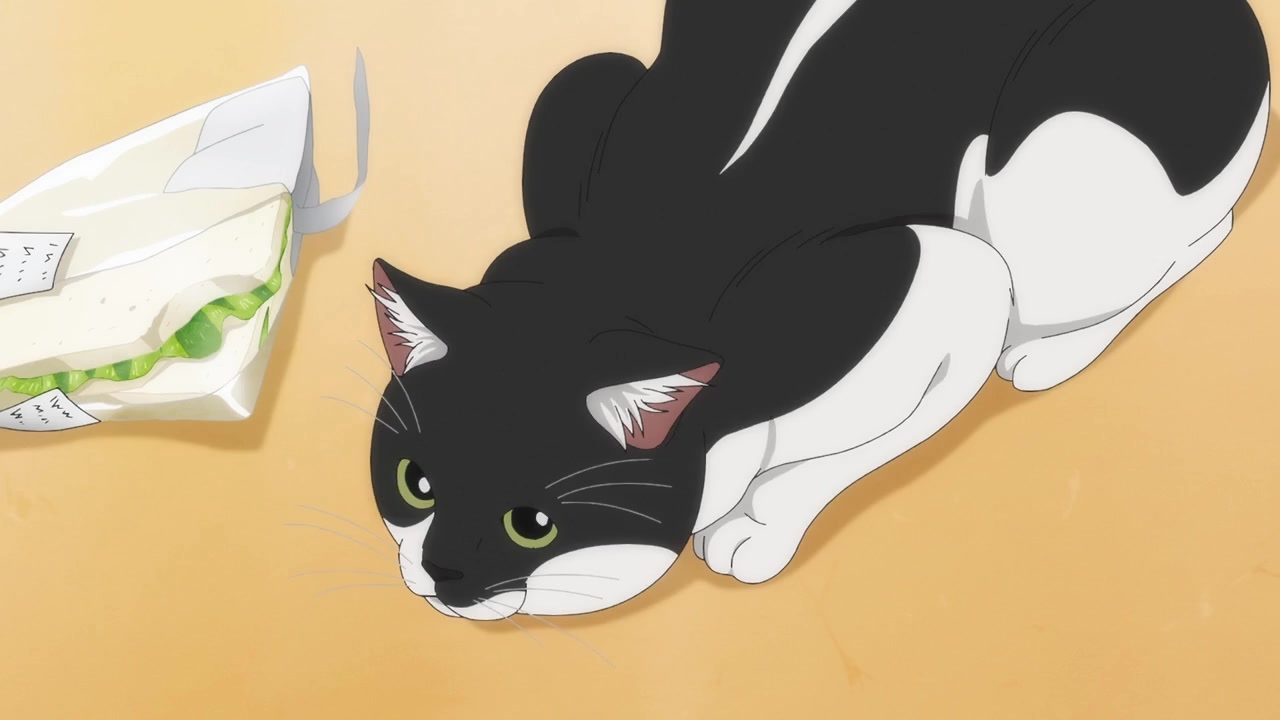 [SubsPlease] Kimi wa Houkago Insomnia - 01 (720p) [6816F214].0002