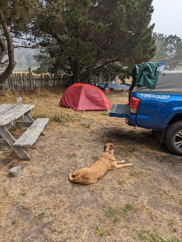 PXL_20240817_221341876