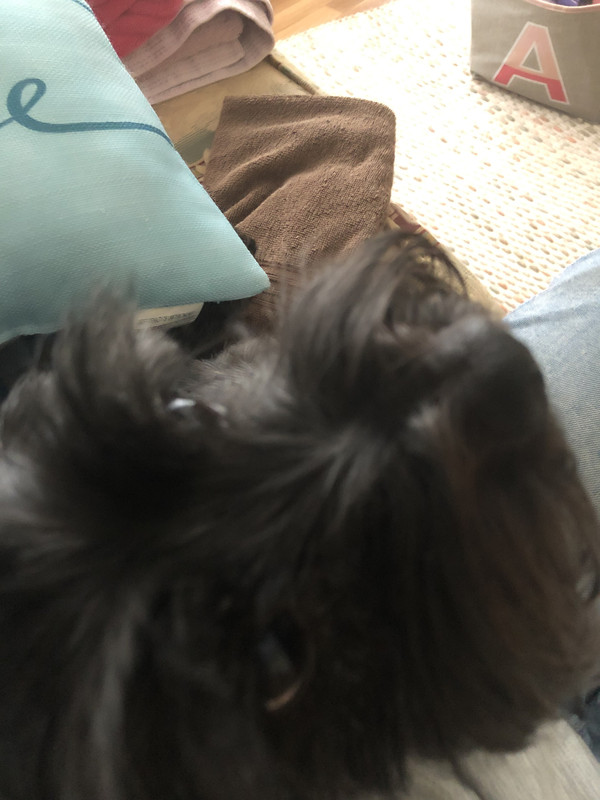 D5356891-C816-453F-B87C-C236CBA03BAA