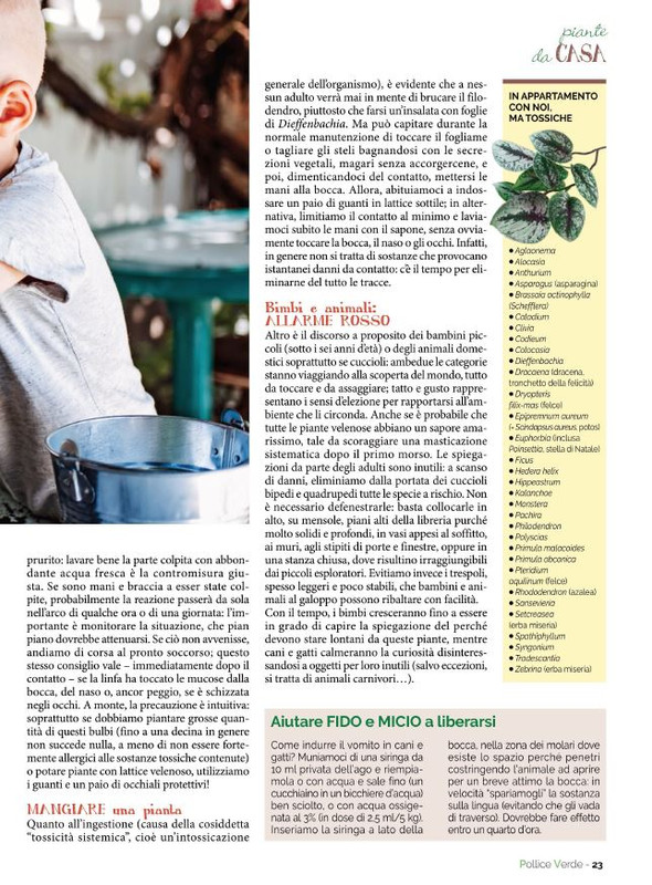 Pol Ver Ott 2022 (4)