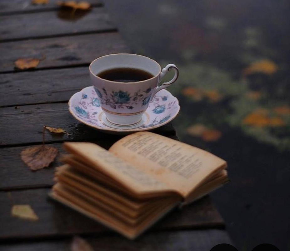 Screenshot_20240721_212320_Pinterest