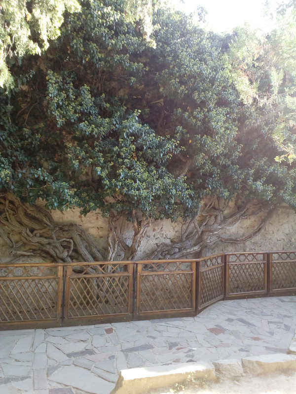 IMG_20170913_160912_1CS