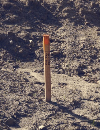 0D773CE4-3540-4A66-9A57-3D394A6B5D88