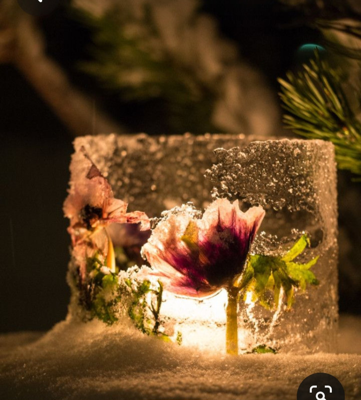 Screenshot_20230616_232804_Pinterest