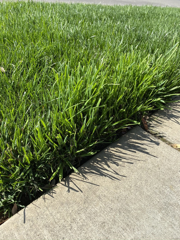 92583096-D3A5-45D0-801B-97C294FCD5B2_1_105_c