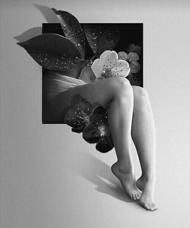 Screenshot_20240501_211312_Pinterest