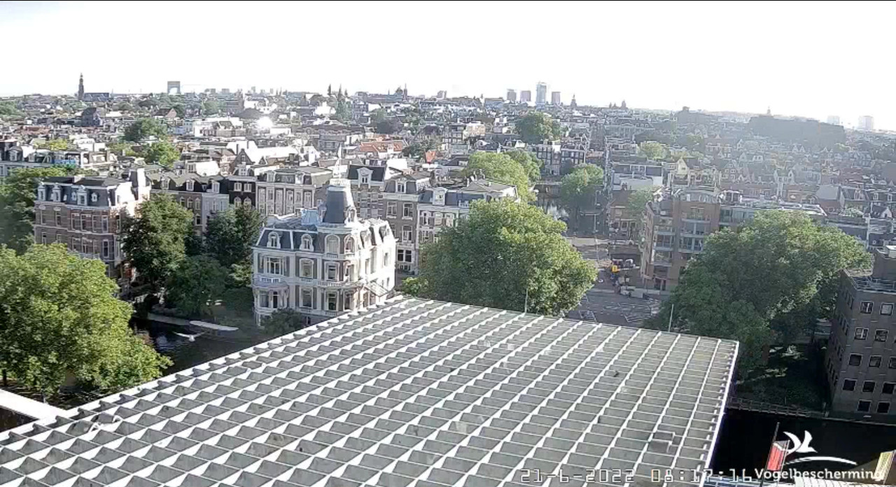 Amsterdam/Rijksmuseum screenshots © Beleef de Lente/Vogelbescherming Nederland - Pagina 30 Video-2022-06-21-081821-Moment-7