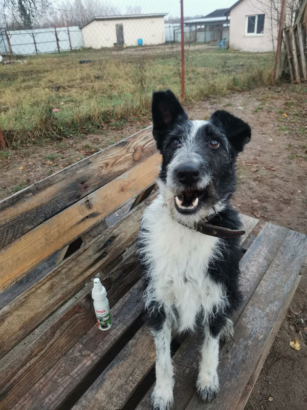 photo_2022-11-08_23-51-41