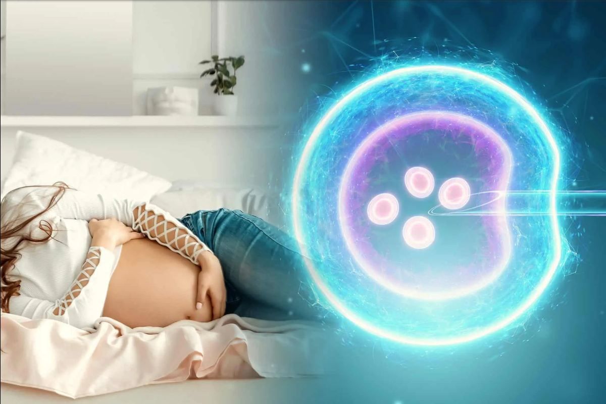 Fecundación in vitro vs inseminación artificial ¿Cuál es más efectiva?