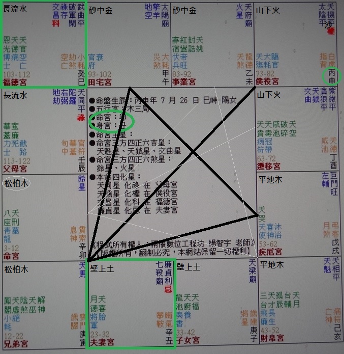 蔡英文 高薪實習生