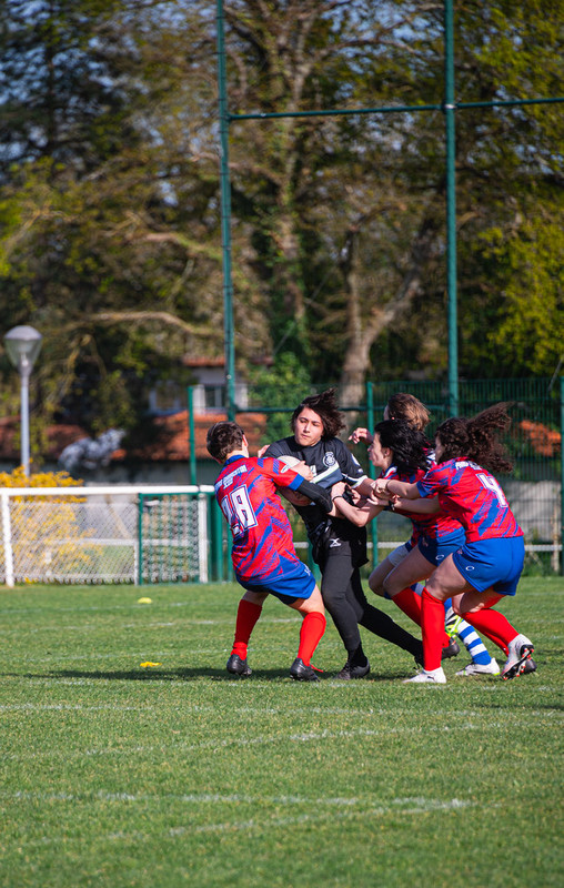 tournoi-de-latlantique-2026-adonis-griffon-229-55180367557-l