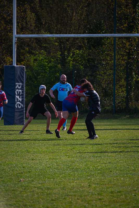 tournoi-de-latlantique-2026-adonis-griffon-236-55181511884-l