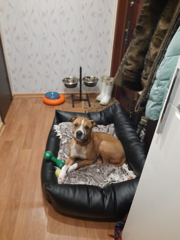 826DBBAC-C9A9-4CC2-8E90-C9ACFCC462FD