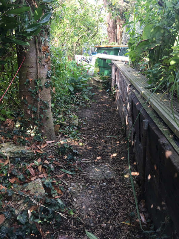 B085CA34-D272-4BB4-AF65-5451359FFBED