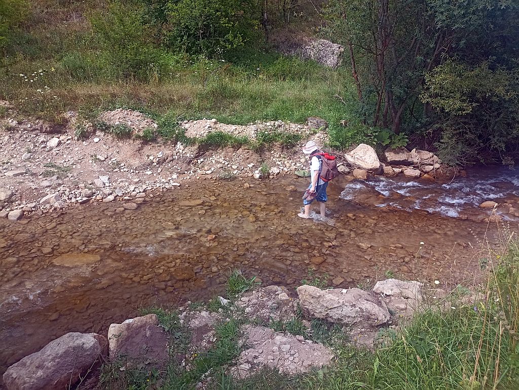 https://i.postimg.cc/ZKSG9FQK/IMG-20240721-151830.jpg